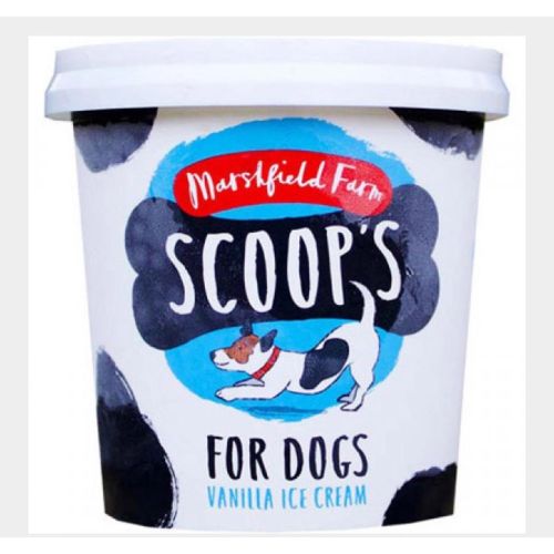 Marshfield Dog Ice Cream Criminisi