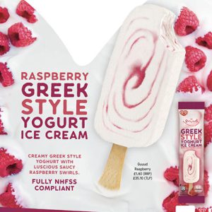 Raspberry Greek Style Yoghurt Ice Cream x 30
