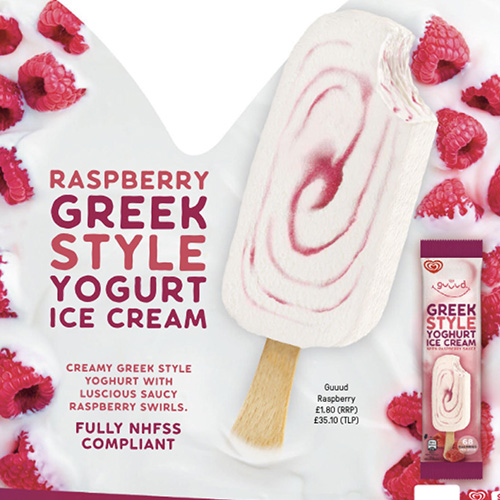 Raspberry Greek Style Yoghurt Ice Cream x 30
