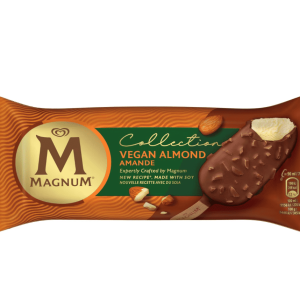 Vegan Almond Magnum x20