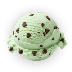 Mint Chocolate Chip